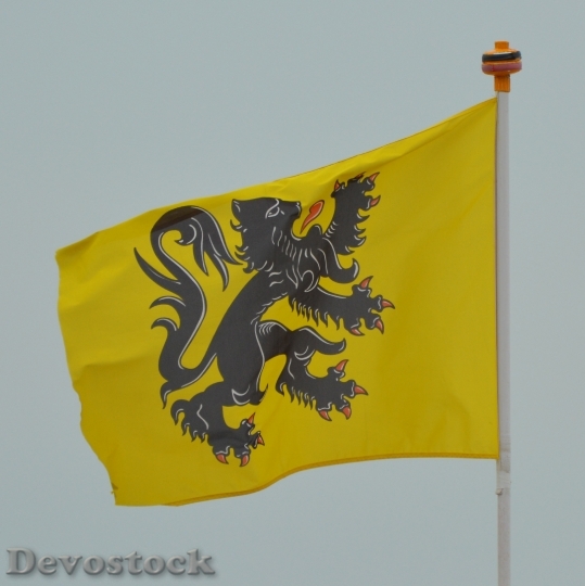 Devostock Flag Flemish Lion Flanders