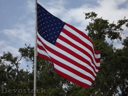 Devostock Flag United States Flag