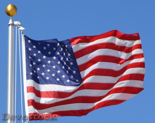 Devostock Flag United States Usa 0