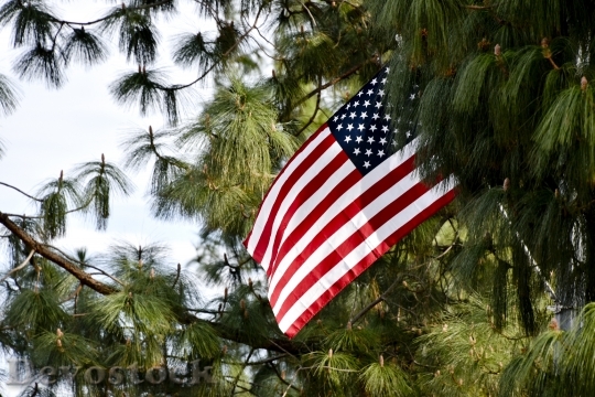 Devostock Flag Usa America Usa