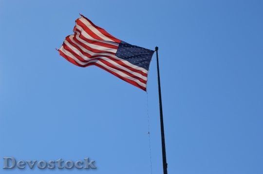 Devostock Flag Usa States United