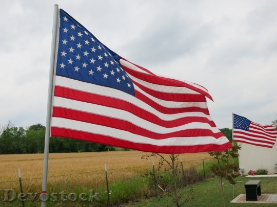 Devostock Flag Usa United States