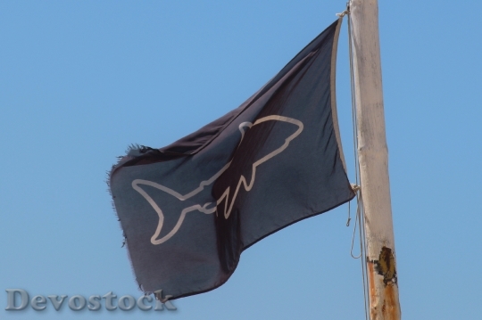 Devostock Flag Warning Signs Shark