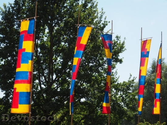 Devostock Flags Colorful Blow Wind 6