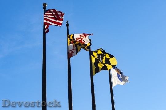 Devostock Flags Maryland Baltimore Urban