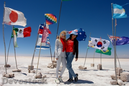 Devostock Flags Travel Tourism Salar