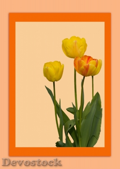 Devostock Flowers Card Template