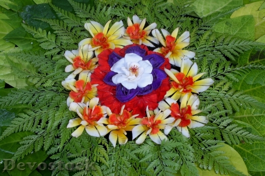 Devostock Flowers Offer Religion Colors