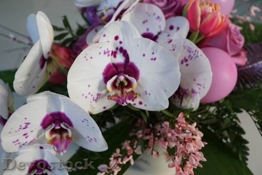Devostock Flowers Strauss Luftbalon Orchid