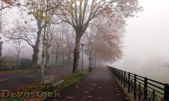 Devostock Fog Park Autumn Winter