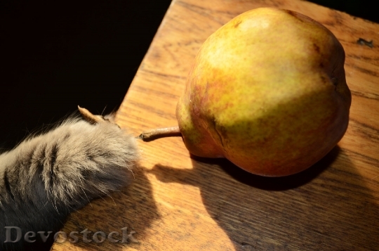 Devostock Food Fruit Pear Tree