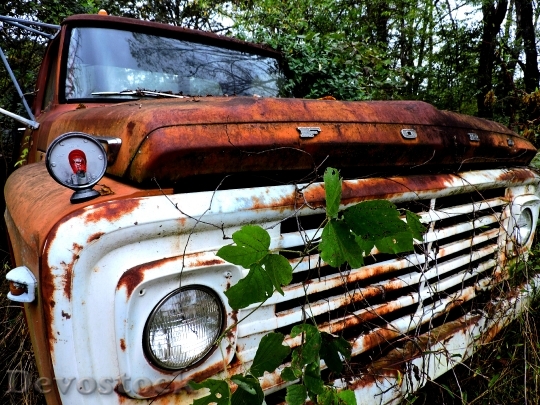 Devostock Ford Vintage Truck Old