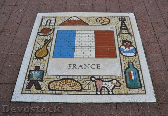 Devostock France Team Emblem Flag