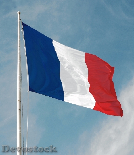 Devostock French Flag France Flag