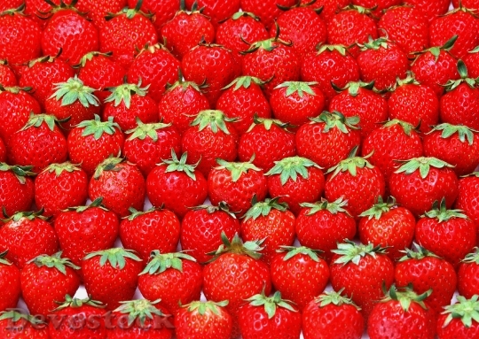 Devostock Fresh Strawberries