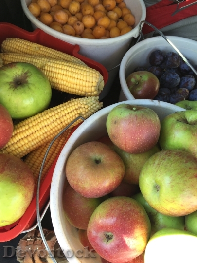 Devostock Fruit Apple Corn Harvest