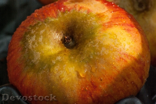 Devostock Fruit Apple Fall 1707613