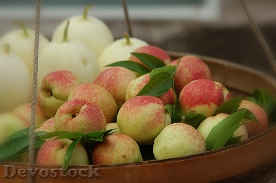 Devostock Fruit Apple Nature Peace