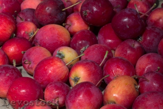 Devostock Fruit Apple Red Autumn