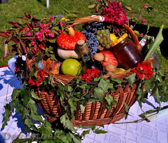 Devostock Fruit Basket Fruits Harvest