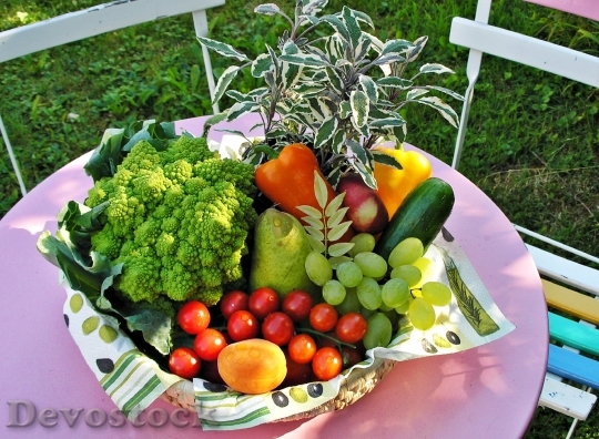 Devostock Fruit Basket Garden Vegetables