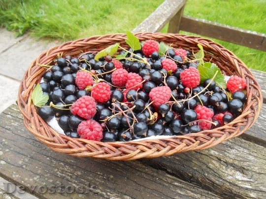 Devostock Fruit Basket Raspberries 1593565