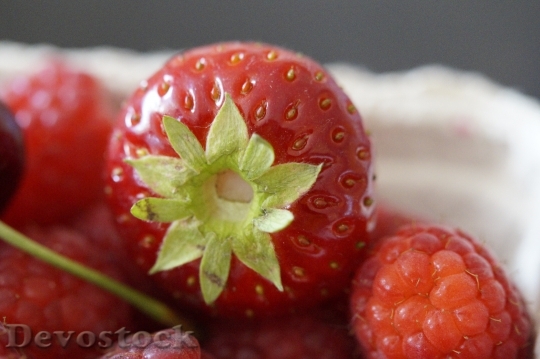 Devostock Fruit Berries Red Berry