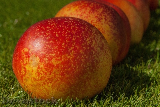 Devostock Fruit Fishing Peach Apricot 0