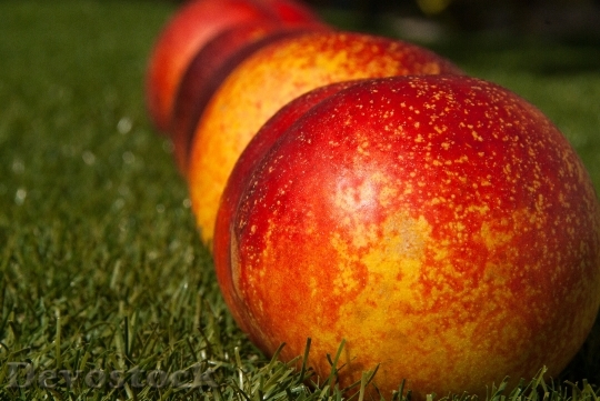 Devostock Fruit Fishing Peach Apricot 1
