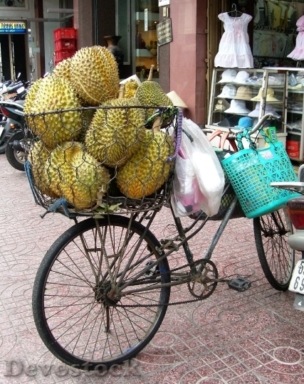 Devostock Fruit Jackfruit Bicycle 1673897