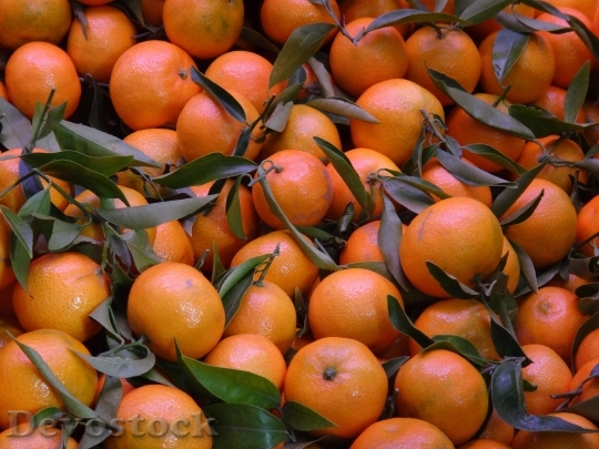 Devostock Fruit Mandarins Orange 1043652