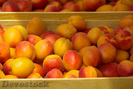 Devostock Fruit Market Apricots 808337