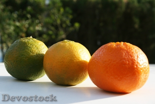 Devostock Fruit Orange Bless You