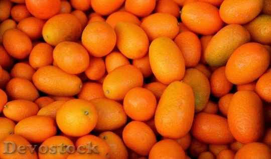 Devostock Fruit Orange Kumquat Left