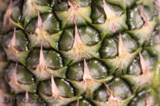 Devostock Fruit Pineapple Exotic Fruits