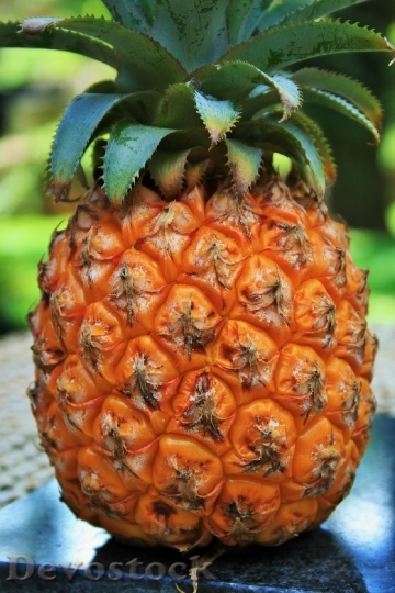 Devostock Fruit Pineapple Skin Yellow