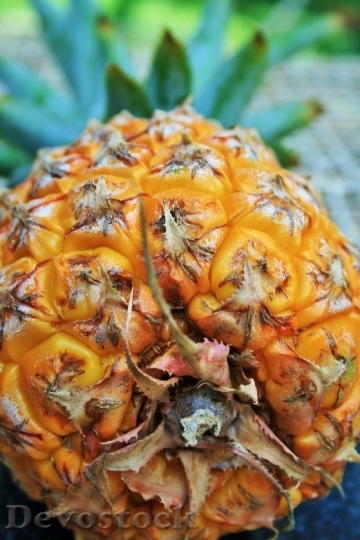 Devostock Fruit Pineapple Yellow Ripe