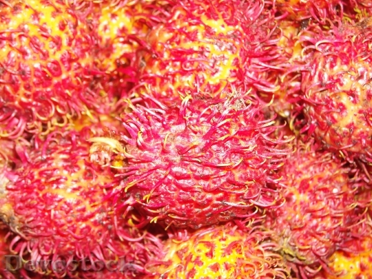 Devostock Fruit Rambutan Red Yellow