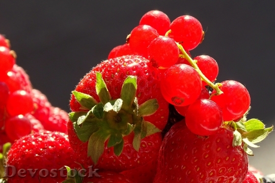 Devostock Fruit Red Fruits Summer 0