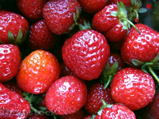 Devostock Fruit Spring Strawberry 78808
