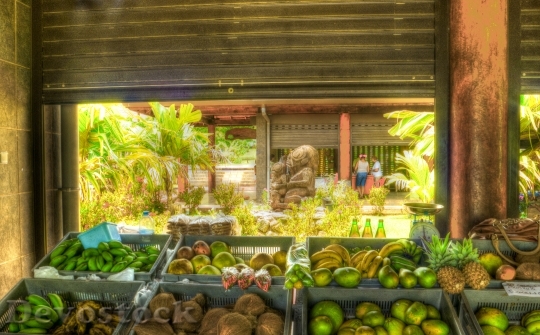 Devostock Fruit Stand Farmers Market