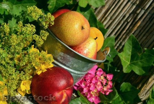Devostock Fruits Garden Fruit Harvest