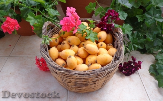 Devostock Fruits Loquat Flowers Basket