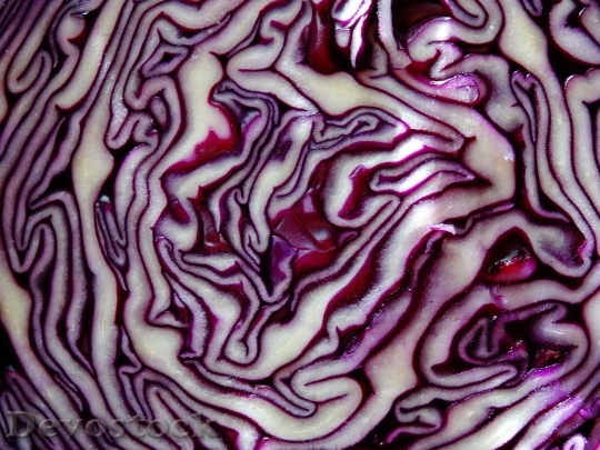 Devostock Fruits Vegetables Cabbage Crauto