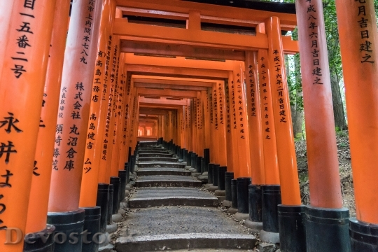 Devostock Fushimi Inari Taisha Shrine 0