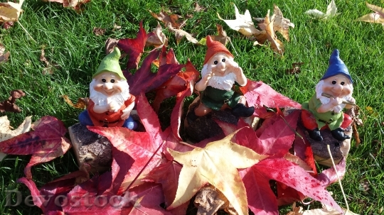 Devostock Garden Gnomes Dwarf Autumn