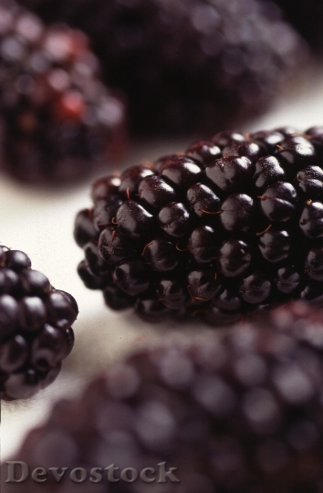Devostock Genetically Modified Blackberries
