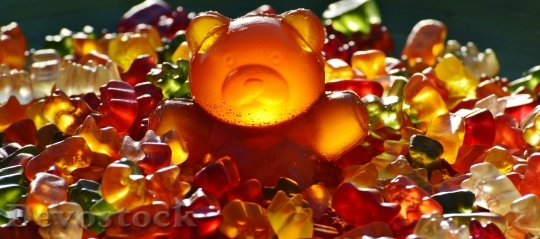 Devostock Giant Rubber Bear Gummib 1