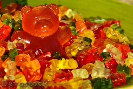 Devostock Giant Rubber Bear Gummib 3