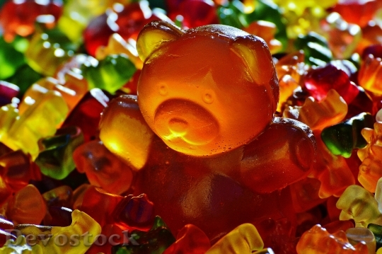 Devostock Giant Rubber Bear Gummib 7